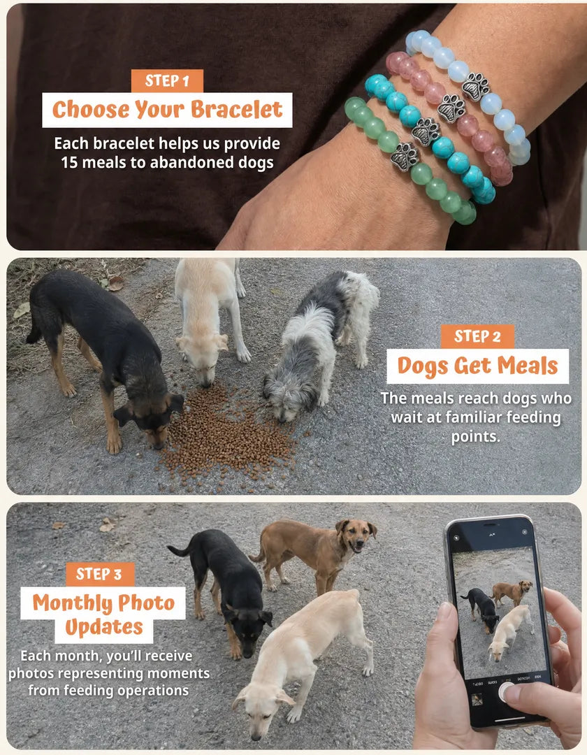 Rescue dogs eating from a food bowl