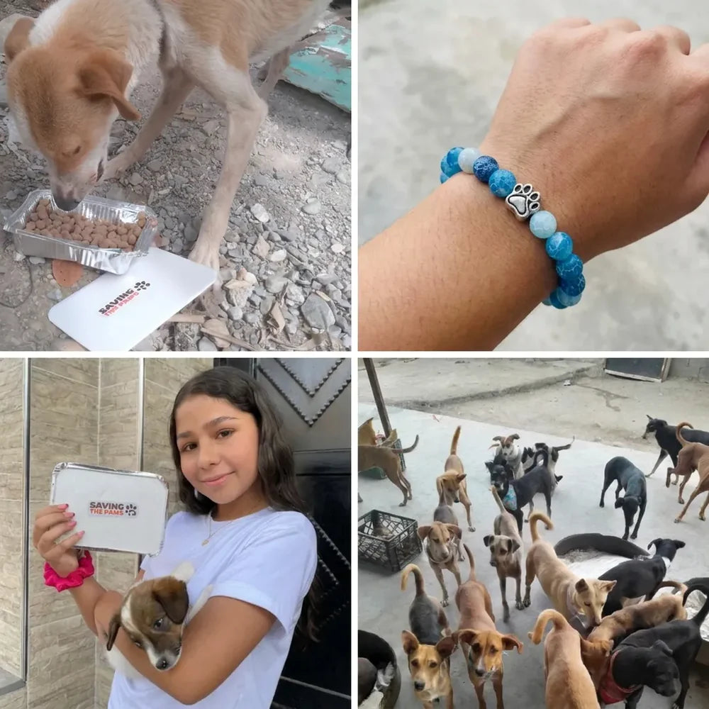 Dogs being helped through bracelet purchases