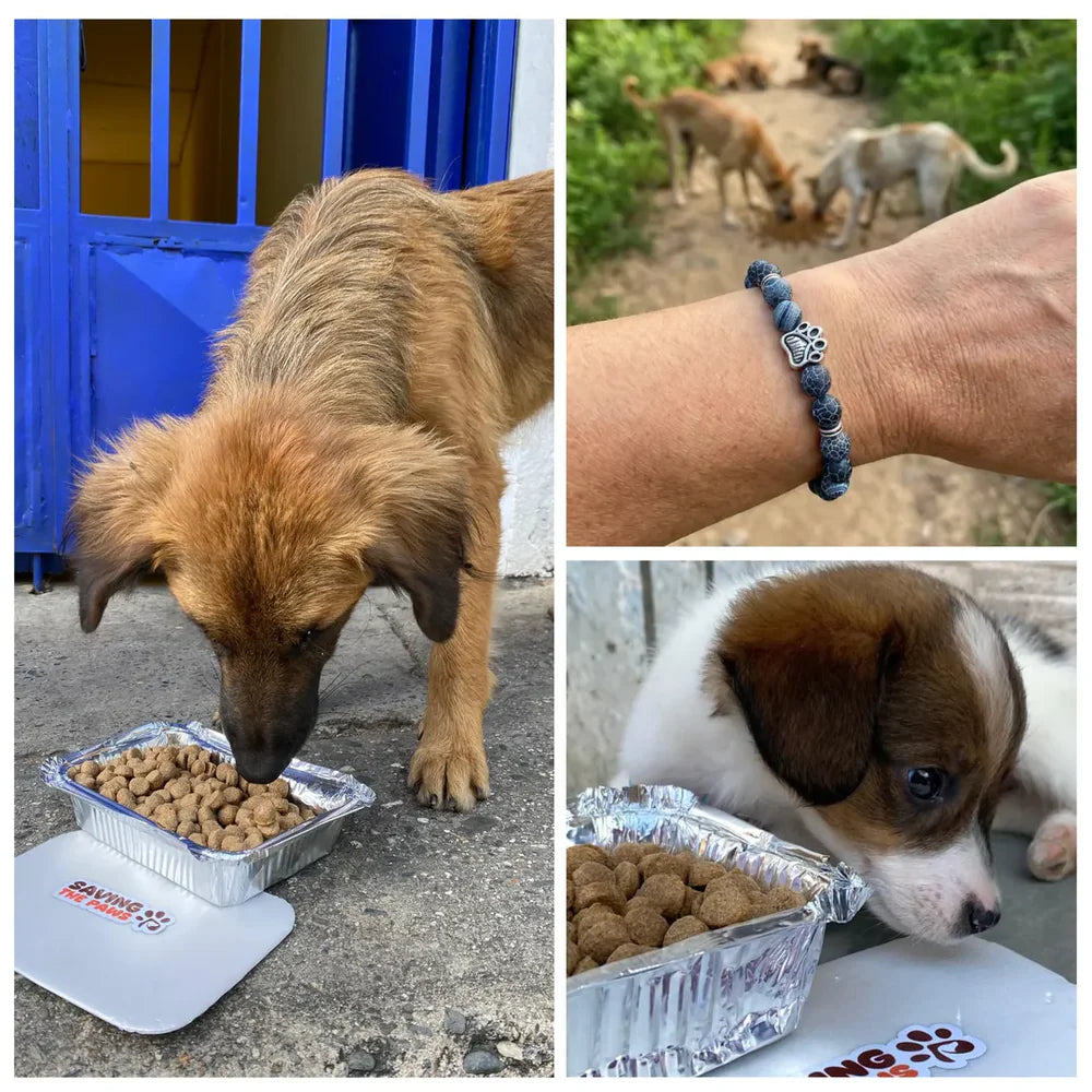 Dogs being helped through bracelet purchases