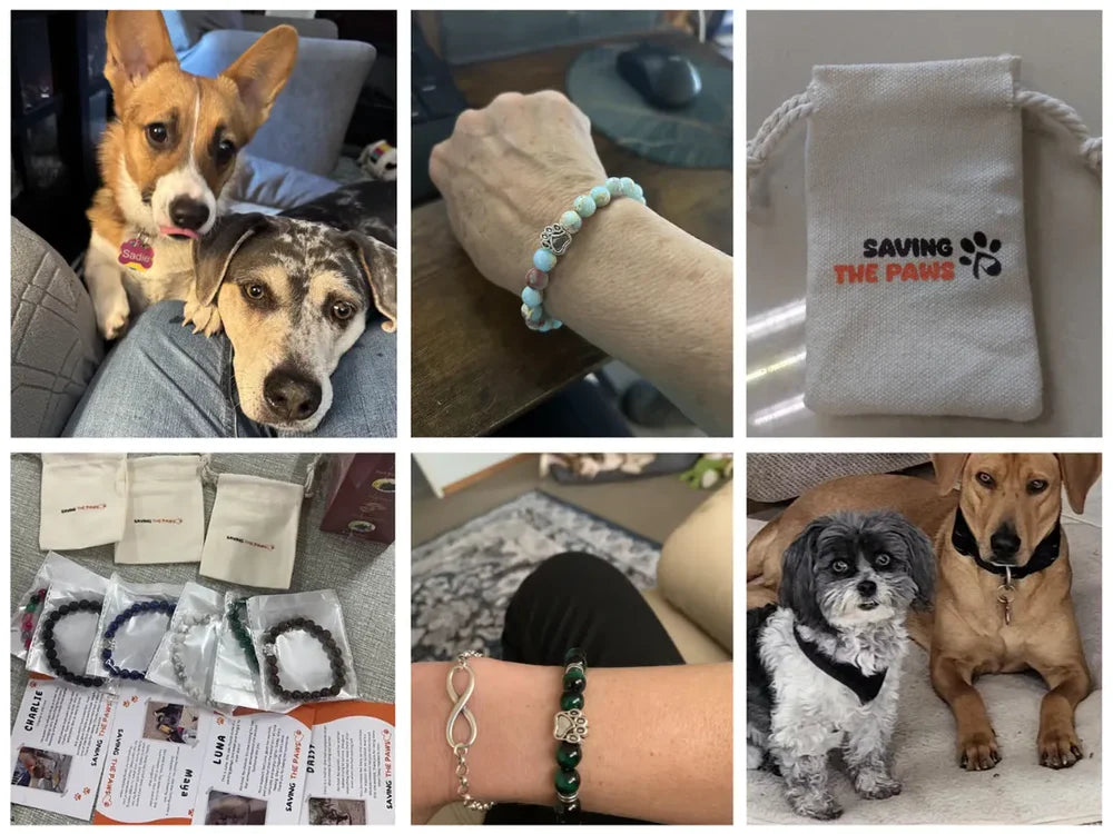 Dogs being helped through bracelet purchases